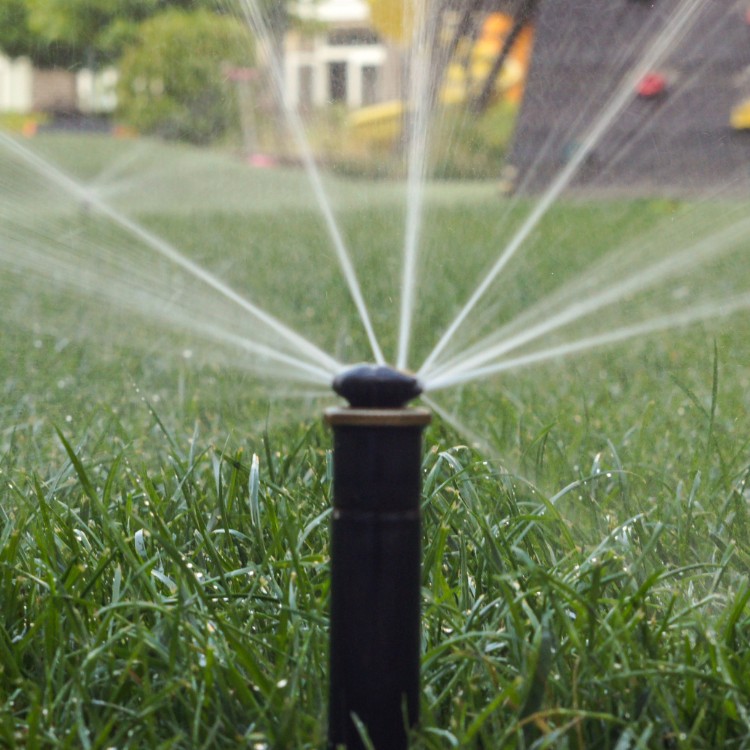 Lawn Care in Kalamazoo, MI