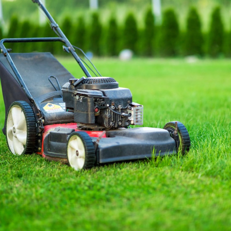 Lawn Care in Kalamazoo, MI