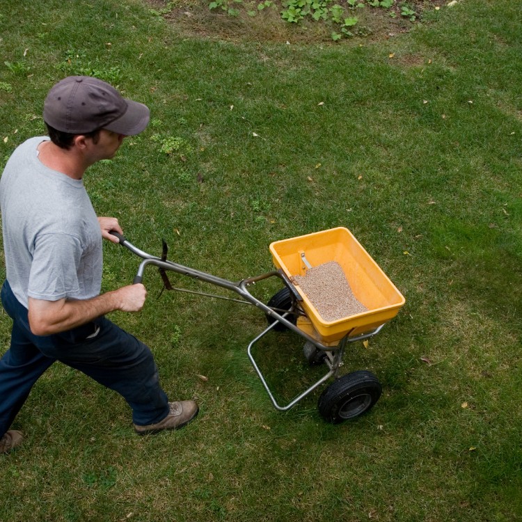 Lawn Care in Kalamazoo, MI