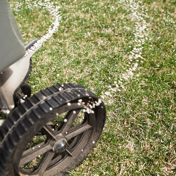 Lawn Care in Kalamazoo, MI